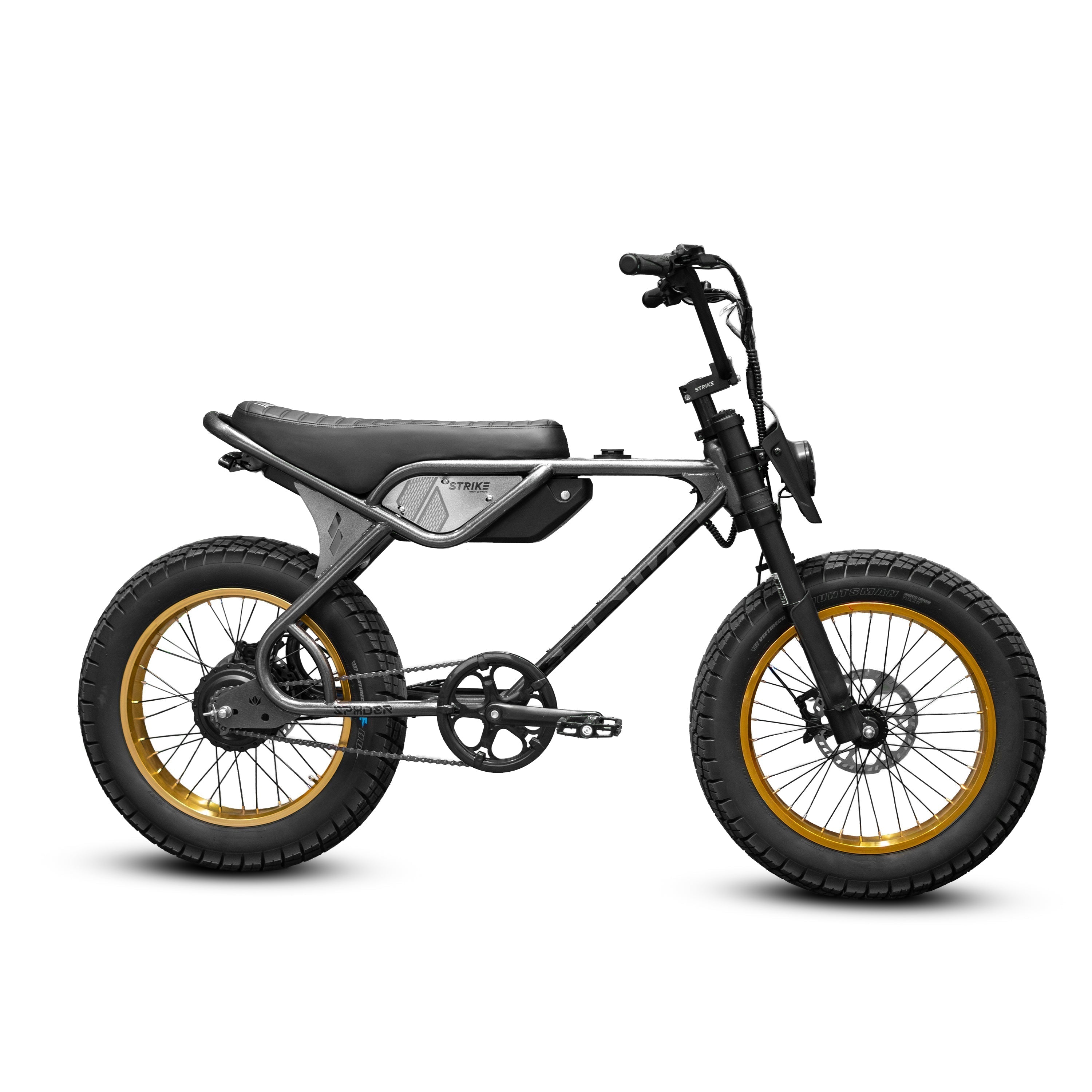 SPYDER 750W - GRAPHITE ORO