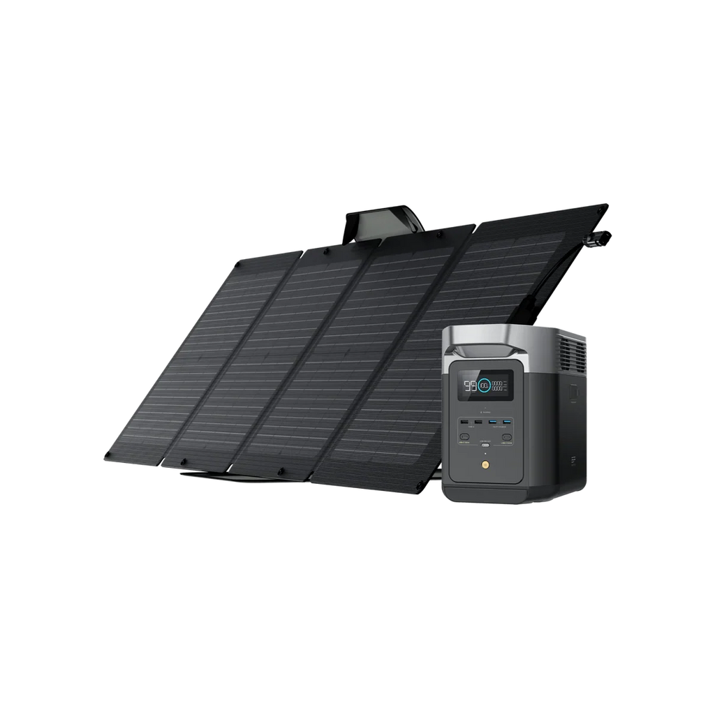 DELTA 2 + 2*110W Portable Solar Panel