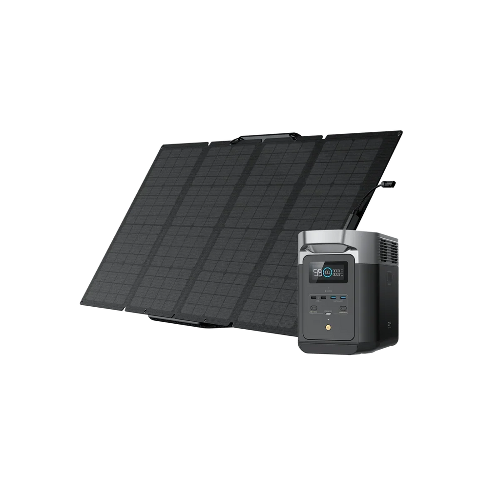 DELTA 2 + 2*160W Portable Solar Panel