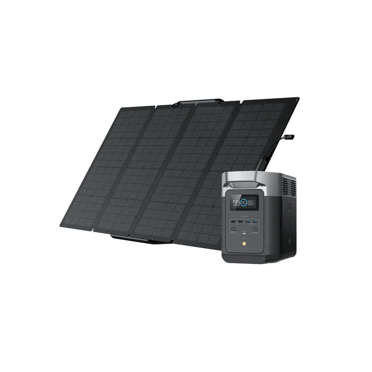 DELTA 2 + 1*160W Portable Solar Panel