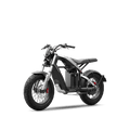Segway Xyber Electric Bike